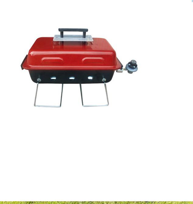 NEW GAS BBQ GRILL